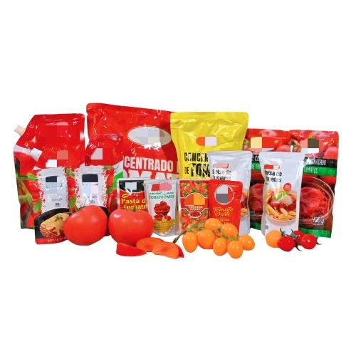 Pasta de tomate em sachê OEM